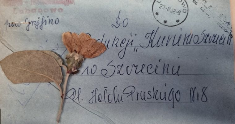 „Drogi Kurierku” ze Stypendium Twórczym Miasta Szczecina